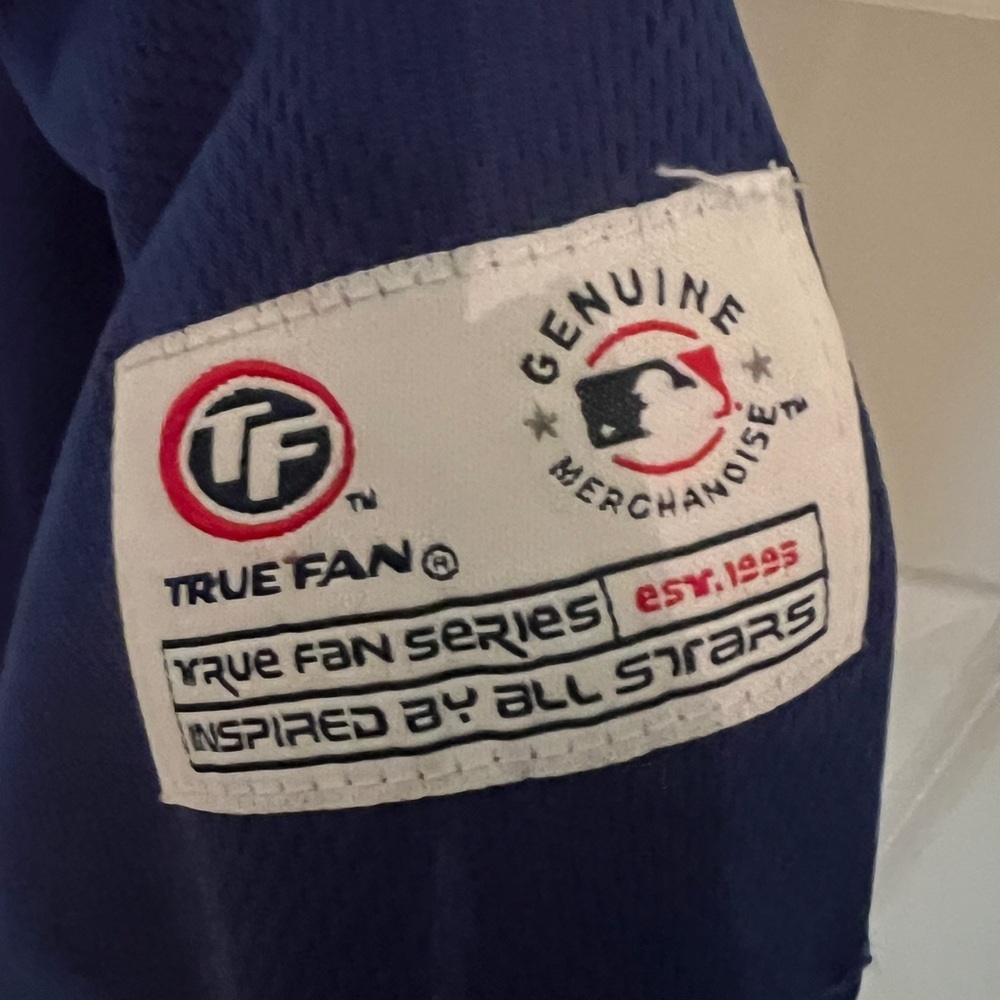 Chicago Cubs True Fan Jersey V-Neck Mens Large MLB blokecore baseball sporty - Picture 3 of 5
